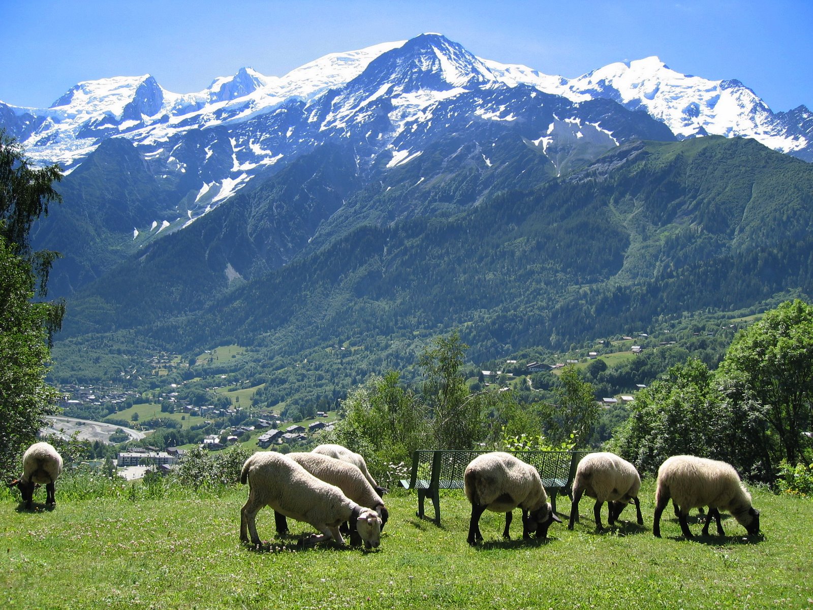 Les Houches view of Mont-Blanc
